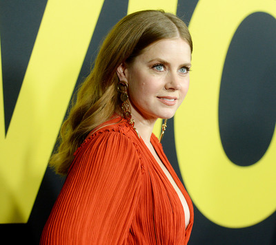 Amy Adams Poster 3780952