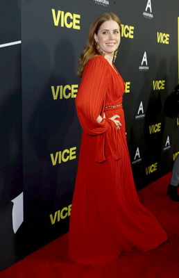 Amy Adams Poster 3781132