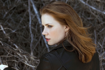Amy Adams Poster 3822191