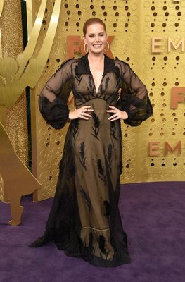 Amy Adams Poster 3892400