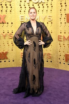 Amy Adams Poster 3892407