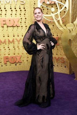 Amy Adams Poster 3892423