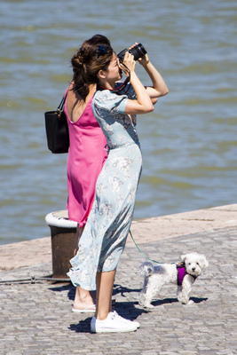 Ana De Armas Poster 2699341