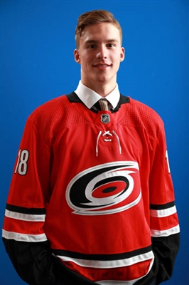 Andrei Svechnikov Poster 3559222