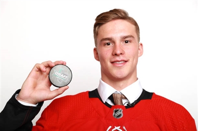 Andrei Svechnikov Poster 3559223