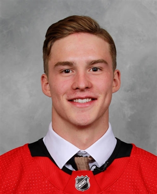 Andrei Svechnikov Poster 3559226