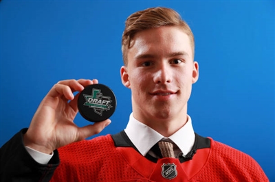 Andrei Svechnikov Poster 3559228