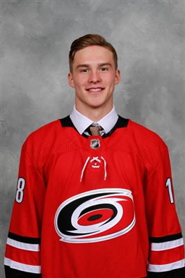 Andrei Svechnikov Poster 3559230
