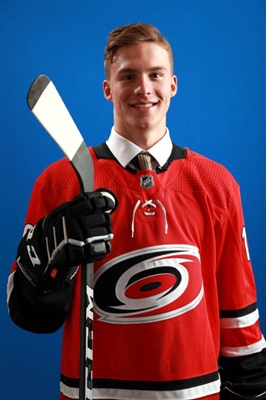 Andrei Svechnikov Poster 3559235