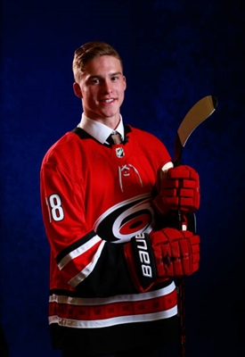 Andrei Svechnikov Poster 3559236