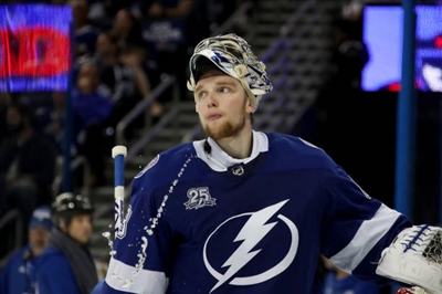 Andrei Vasilevskiy Poster 3529743