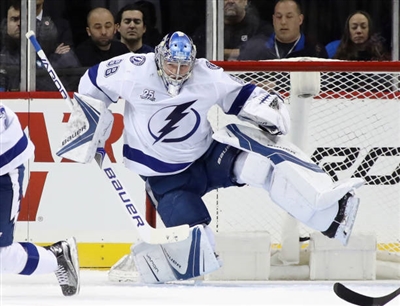 Andrei Vasilevskiy Poster 3529752