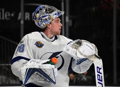 Andrei Vasilevskiy Poster 3529798