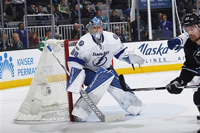 Andrei Vasilevskiy Poster 3529805