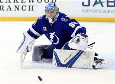 Andrei Vasilevskiy Poster 3529814