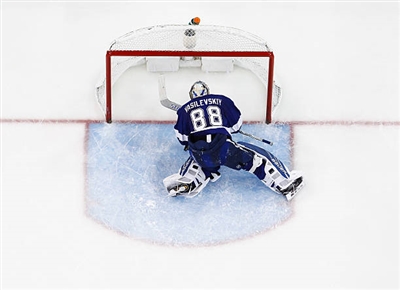 Andrei Vasilevskiy Poster 3529835