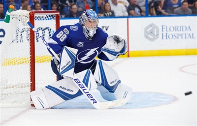 Andrei Vasilevskiy Poster 3529837