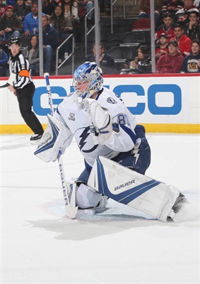 Andrei Vasilevskiy Poster 3529840