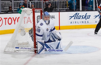 Andrei Vasilevskiy Poster 3529861