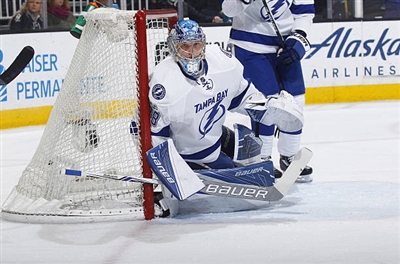 Andrei Vasilevskiy Poster 3529911