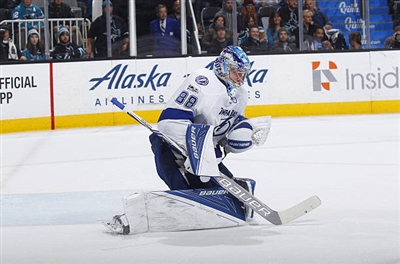 Andrei Vasilevskiy Poster 3529918