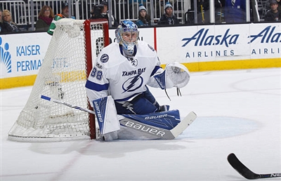 Andrei Vasilevskiy Poster 3529919