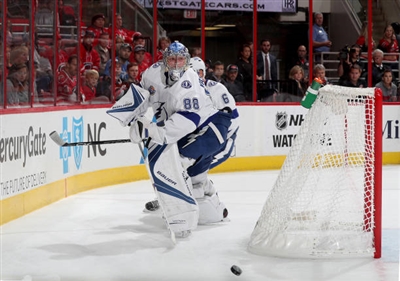 Andrei Vasilevskiy Poster 3529940