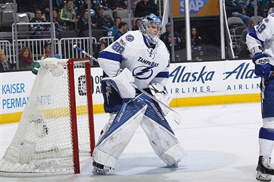 Andrei Vasilevskiy Poster 3529974