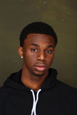 Andrew Wiggins Poster 3457293