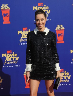 Aubrey Plaza Poster 3884163