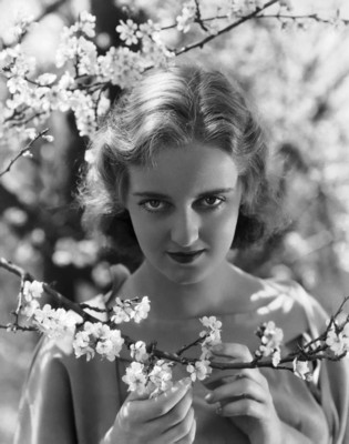 Bette Davis Poster 1527053