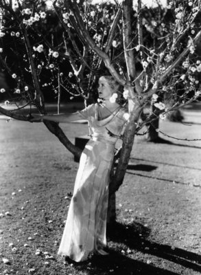 Bette Davis Poster 2675412