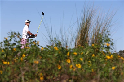 Billy Horschel Poster 3512491