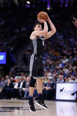 Bogdan Bogdanovic Poster 3376487