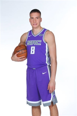 Bogdan Bogdanovic Poster 3376488