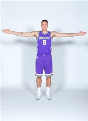 Bogdan Bogdanovic Poster 3376498