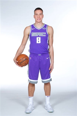 Bogdan Bogdanovic Poster 3376503