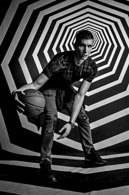 Bogdan Bogdanovic Poster 3376518