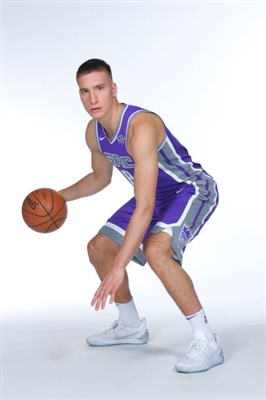 Bogdan Bogdanovic Poster 3376573