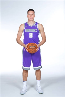 Bogdan Bogdanovic Poster 3376584