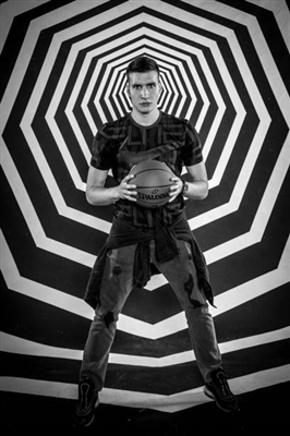 Bogdan Bogdanovic Poster 3376593