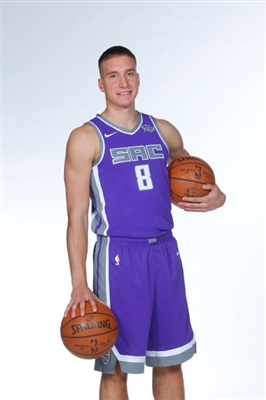 Bogdan Bogdanovic Poster 3376612