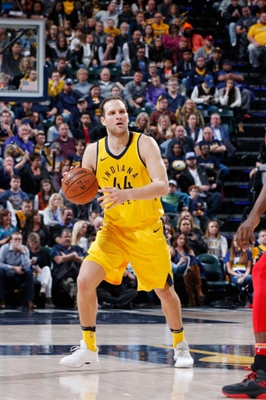 Bojan Bogdanovic Poster 3376677