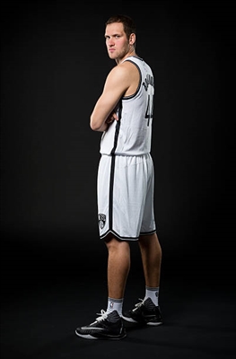 Bojan Bogdanovic Poster 3376688