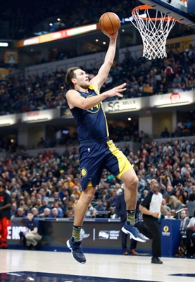 Bojan Bogdanovic Poster 3376694