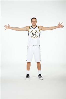 Bojan Bogdanovic Poster 3376724