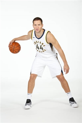 Bojan Bogdanovic Poster 3376725