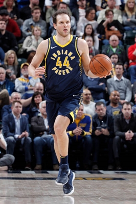Bojan Bogdanovic Poster 3376736
