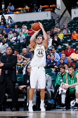 Bojan Bogdanovic Poster 3376739
