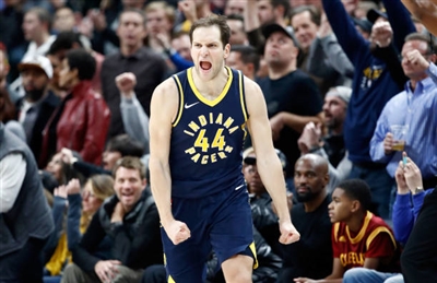 Bojan Bogdanovic Poster 3376788